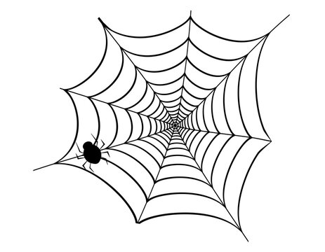 クモ　蜘蛛の巣　ベクターイラスト