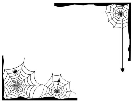 クモ　蜘蛛の巣　ベクターイラスト