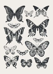 Set of butterflies drawn in black ink. The texture of the brush and paint.