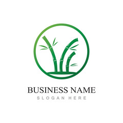 bamboo logo with green leaves vector illustration template