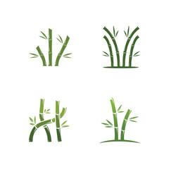 bamboo logo with green leaves vector illustration template
