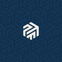 PTM, TPM, or PM logo and up arrow symbol with background pattern design