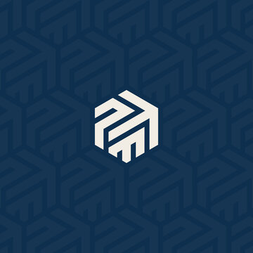 PTM, TPM, or PM logo and up arrow symbol with background pattern design