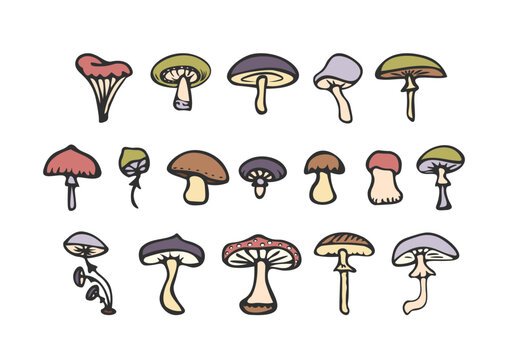 Set of cartoon colored mushrooms isolated on white background. Simple hand drawn doodle style. Vector illustration.