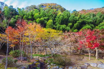 伊豆修善寺、奥の院の日本庭園　秋の紅葉風景
