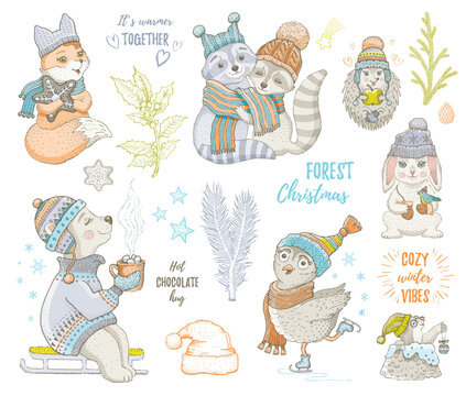 Christmas animals. Winter cute woodland illustration. Kids character card. Vector bunny fox polar bear owl racoon. Cartoon xmas collection. Doodle sketch child outline print. Christmas forest animal