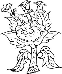 Rose flower sketch on white background