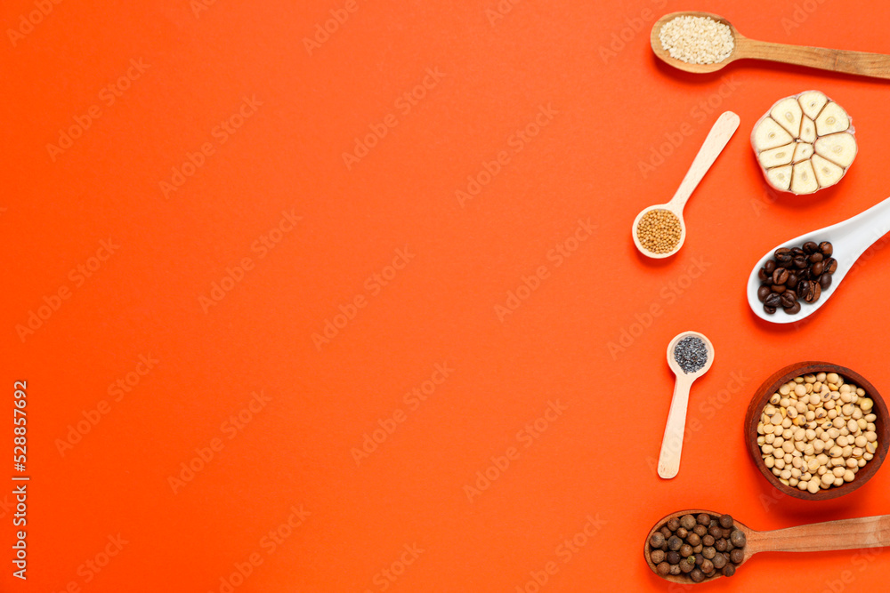 Poster concept of cooking, different spices, space for text