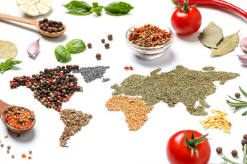 Map of world made from different kinds of spices