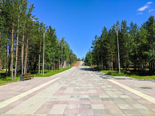 Noyabrsk, Russia - July 6, 2022: View of the sidewalk in the city park with wooden benches surrounded by green coniferous forest
