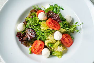 fresh salad with mozzarella and vegetables