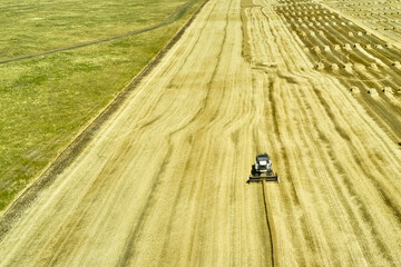 a combine harvester harvesting a field of wheat rural landscape