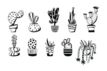 Cactus doodle outline set. Elements of the nature of plants. Vector hand draw illustration