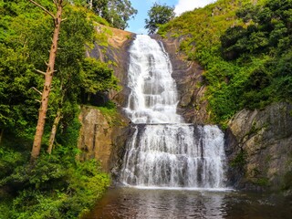 Fototapeta na wymiar Small Waterfall - Silver Cascade Waterfall in Kodaikanal Tamilnadu INDIA