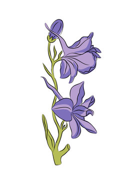 July Birth Month Flower Larkspur Colorful Vector Illustration. Delphinium Plant Hand Drawn Outline Colored Sketch. Perfect For Modern Jewelry, Logo, Tattoo, Prints, Invitations, Wall Art Design.