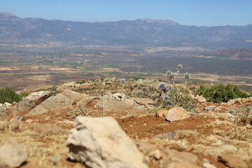 landscape in the mountains