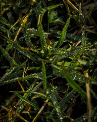 landscape from national park