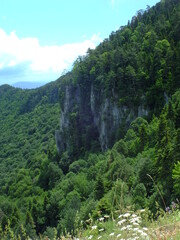 Fototapeta na wymiar landscape from national park