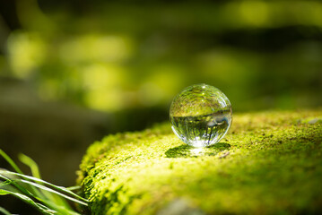 苔と水晶玉