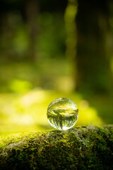 苔と水晶玉