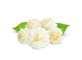 Thai jasmine white flower with green leave isolated on white background.This has clipping path. ( Jasmine photo stacked full depth field )