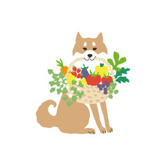 Japanese dog, Shiba Inu, basket with vegetables and fruits, Hand drawn vector illustration.