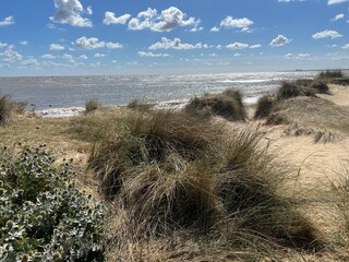 Landscape ocean view at Walberswick beach Suffolk East Anglia uk in Summer  blue sky, small white clouds, calm sea sun light reflected view from grassy sand banks to horizon on peaceful day no people