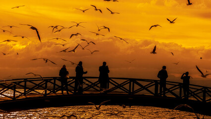 Sunset and seagulls on the bridge.