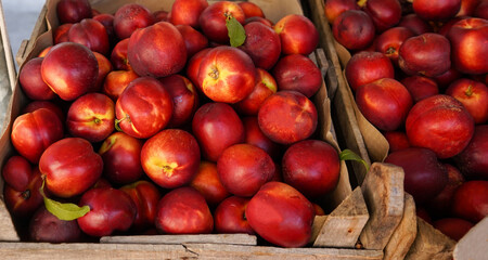 ripe fresh red nectarines in boxes on the market
