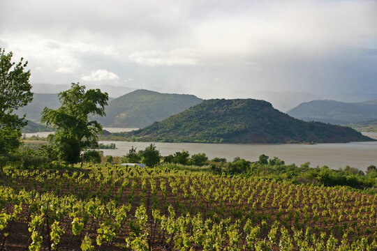 Photo lac du Salagou vignoble Hérault, sud de la France, culture de la vigne Occitanie