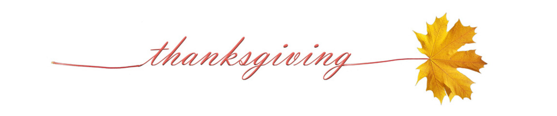 thanksgiving autumnn leaf leaves text word isolated for background