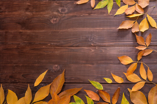 background, yellow autumn leaves lie on a wooden table. This colorful image of fallen autumn leaves is perfect for seasonal use. Place for text.
