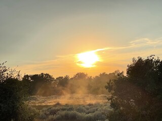 Orange Sun Set 