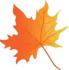 Autumn leaves. Element for print, postcard and poster isolate on white
background. Vector illustration