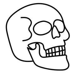 skull