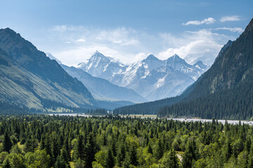 beautiful scenery mountain & forest in Xinjiang China