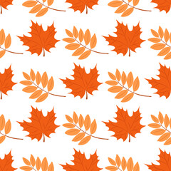 autumn pattern with autumn leaves. Autumn pattern for autumn design