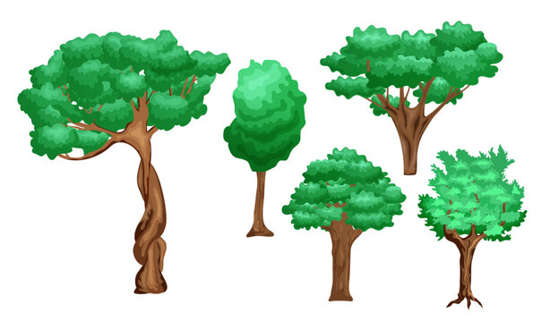 Set of cartoon style trees. Vector stock illustration. Plants for animation. White background. isolated.