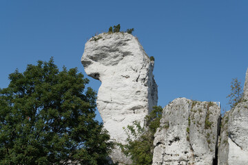 Limestone rocks near Ogrodzieniec medieval ruined castle in Podzamcze, Ogrodzieniec, Poland. Part of Trail of the Eagles' Nests.