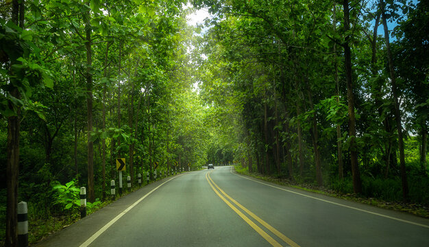 blurred image of road in trees tunnel 
