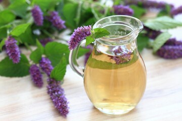 Herbal tea from medicinal herb Agastache foeniculum, also called  giant hyssop or Indian mint.  Aromatic agastache tea is good for the stomach and lungs.