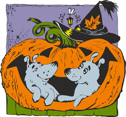 funny dogs climbed into a pumpkin. Happy Halloween!