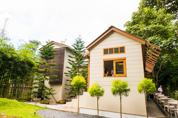 Modern wooden house in Deep forest , exterior view.