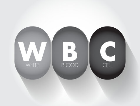 WBC White Blood Cell - cellular component of blood that helps defend the body against infection, acronym text concept background