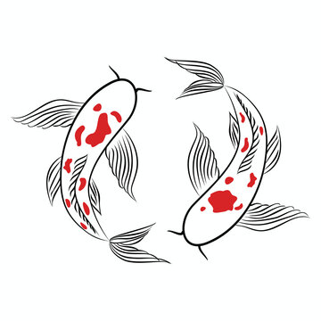 hand drawn outline koi fish vector disign line art illustration 