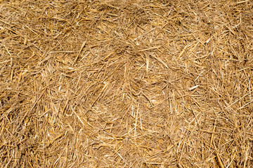 straw, dry straw texture background, vintage style for design.