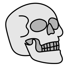 skull