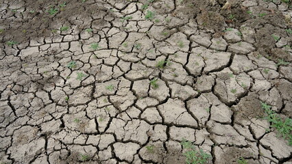 soil cracked by drought.