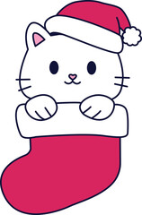 White fluffy kitten in a christmas sock.