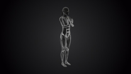 3D human tadasana praying yoga pose on black background